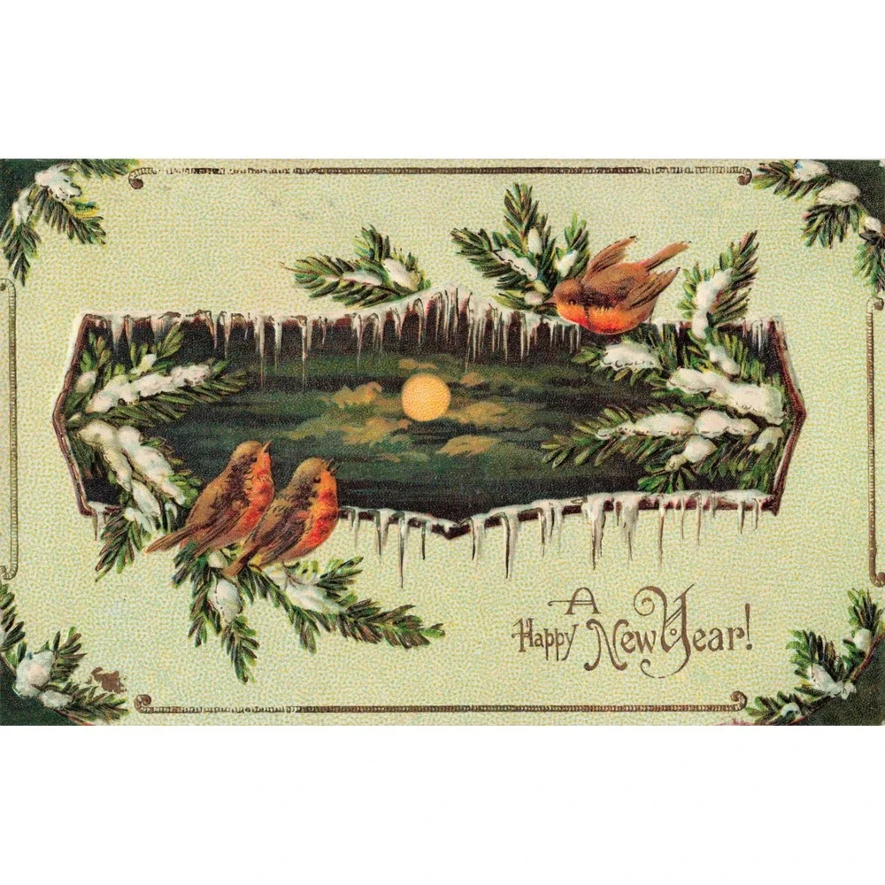 New Year Postcard Robins Birds Winter Icicles Pine Moon 1907 Embossed Antique